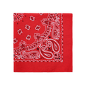 Red Paisley Bandana