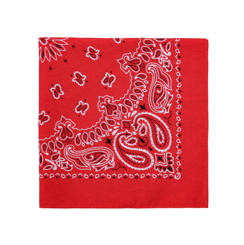Red Paisley Bandana