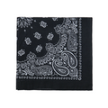 Black Paisley Bandana