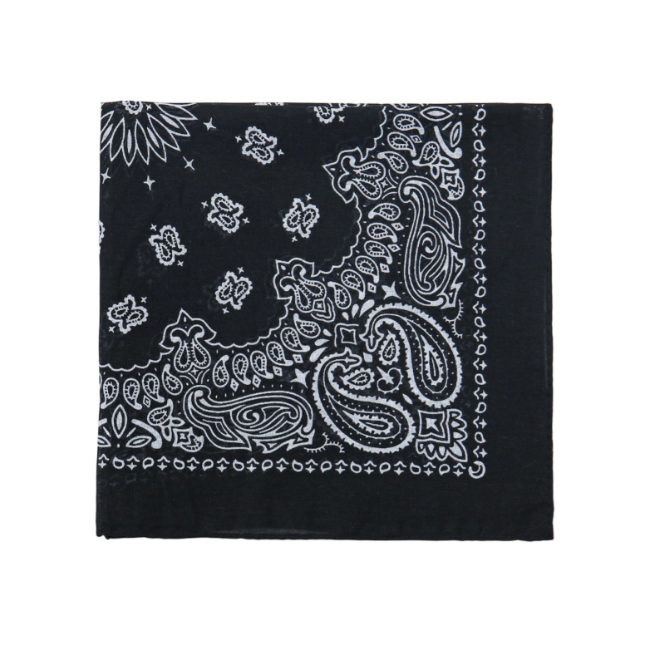 Black Paisley Bandana