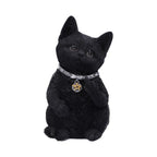 Nemeis Now Cattitude 16.5cm
