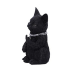 Nemeis Now Cattitude 16.5cm