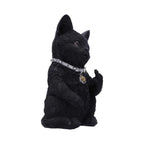 Nemeis Now Cattitude 16.5cm