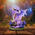 Nemesis Now Iris Flower Dragon 12cm