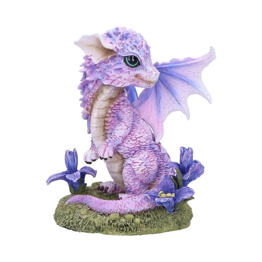 Nemesis Now Iris Flower Dragon 12cm