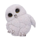 Nemesis Now Feathers 12.5cm