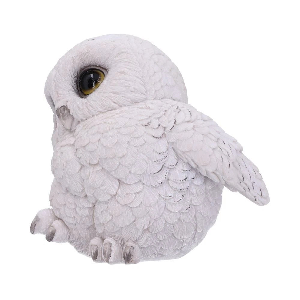 Nemesis Now Feathers 12.5cm
