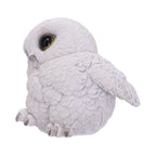 Nemesis Now Feathers 12.5cm