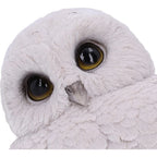 Nemesis Now Feathers 12.5cm