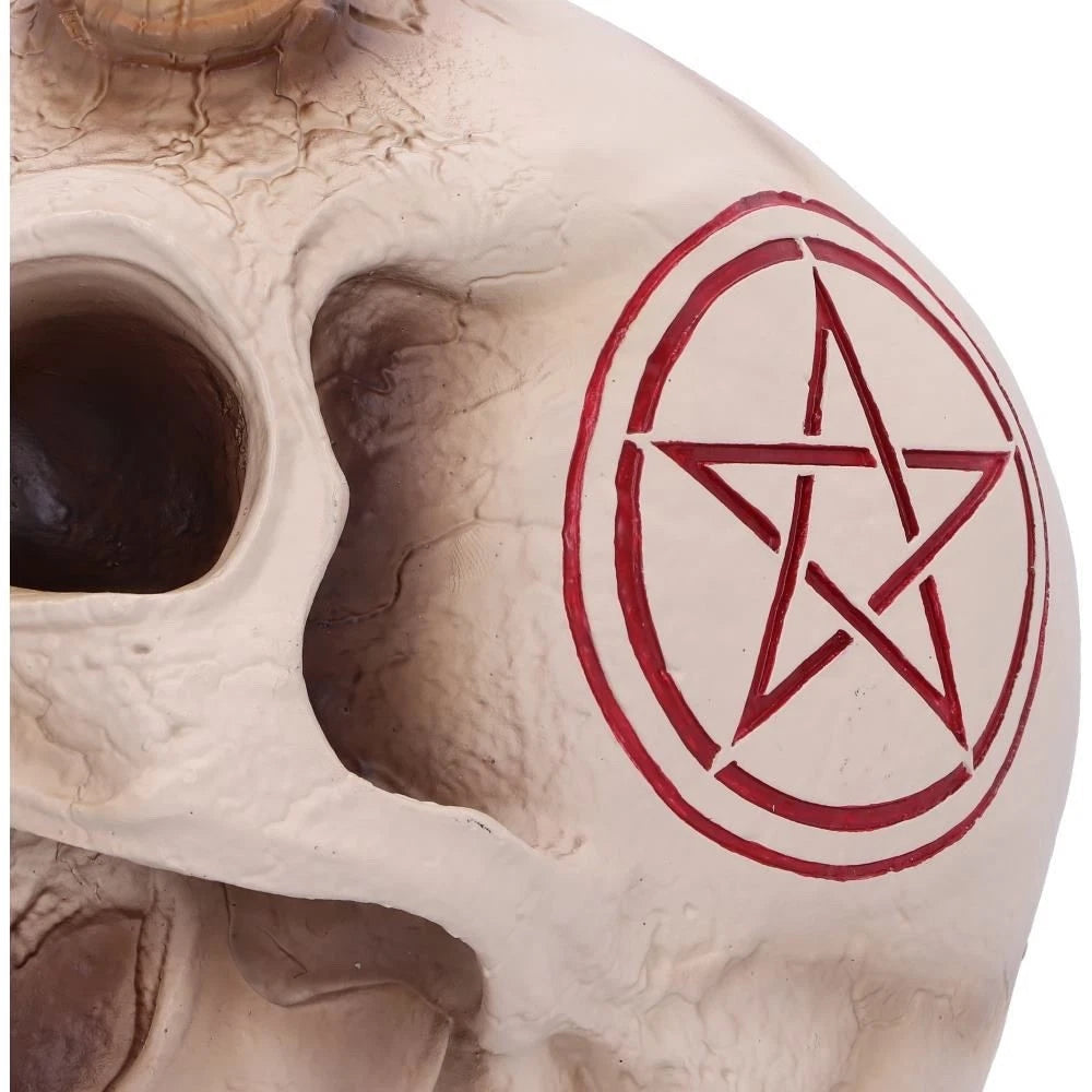 Nemesis Now James Ryman 666 Skull 20cm