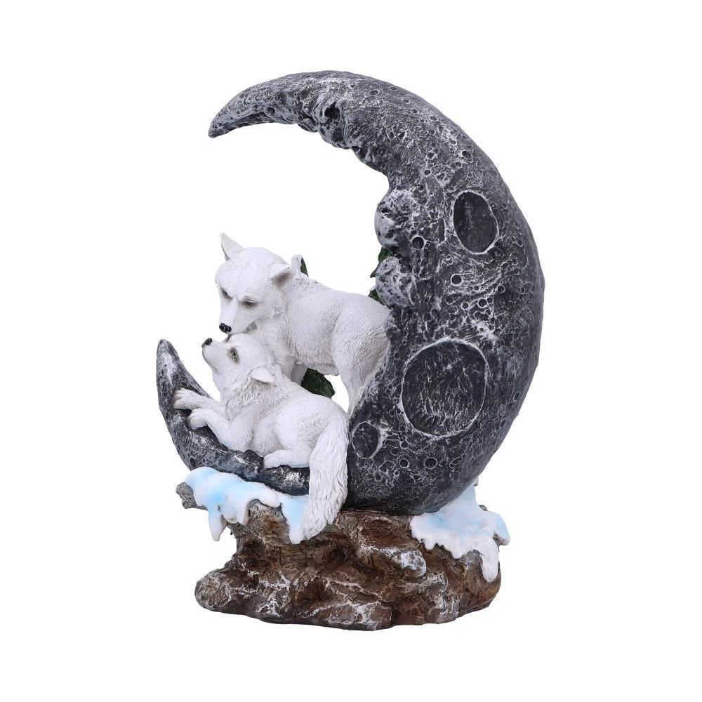 Nemesis Now Lunar Companions 19.3cm