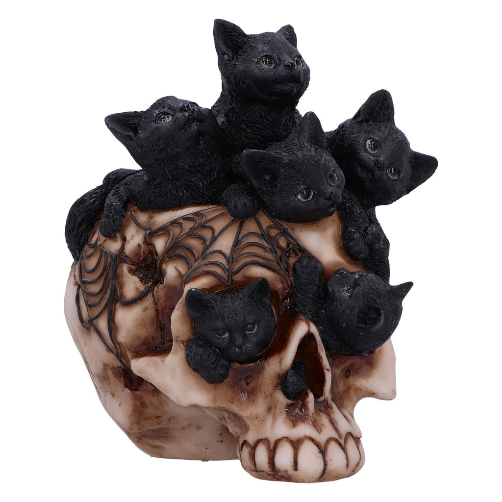 Nemesis Now Cranial Litter 14cm
