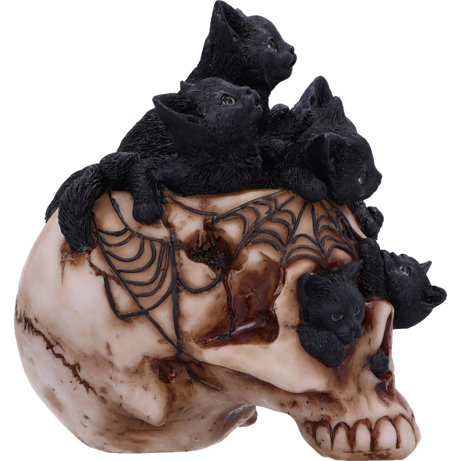 Nemesis Now Cranial Litter 14cm